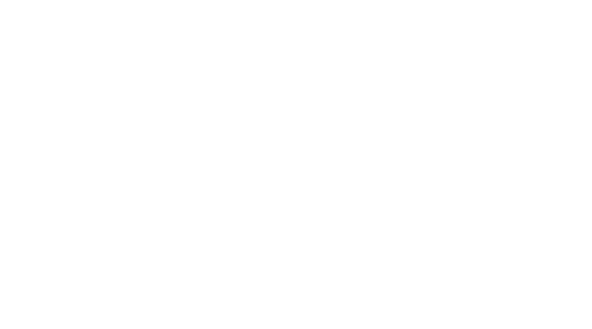 Amiga Shirt